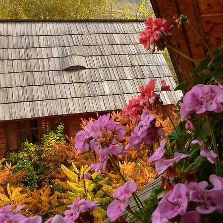Woodenhouse Maramures Vişeu de Sus Exteriér fotografie