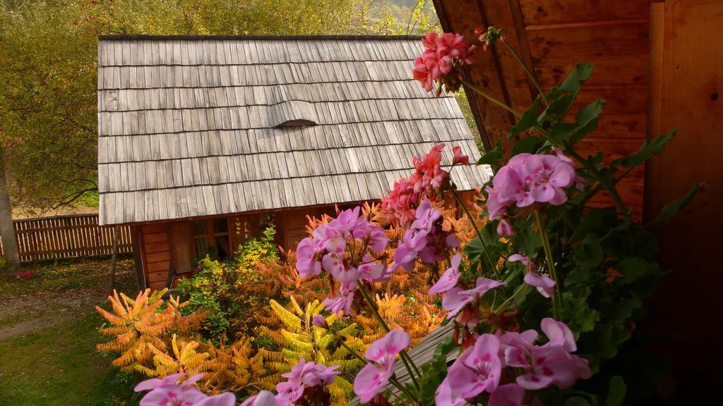 Woodenhouse Maramures Vişeu de Sus Exteriér fotografie