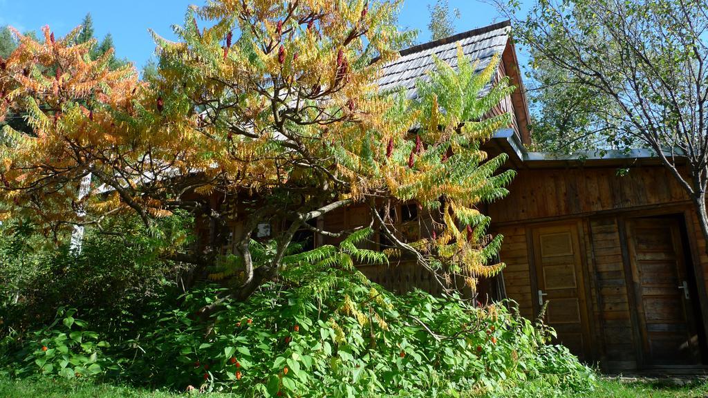 Woodenhouse Maramures Vişeu de Sus Exteriér fotografie