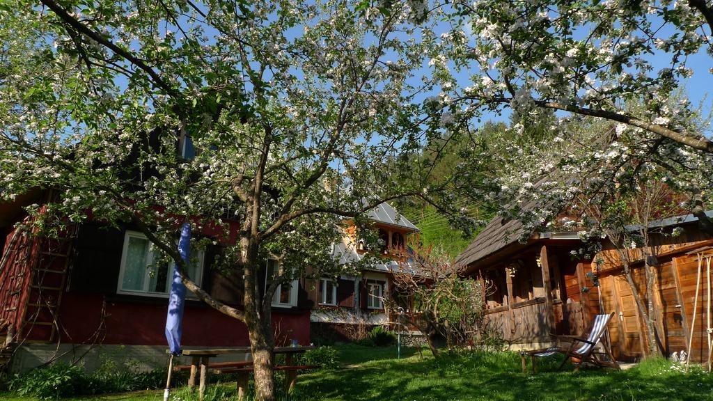Woodenhouse Maramures Vişeu de Sus Exteriér fotografie