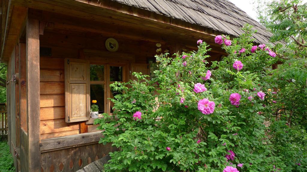 Woodenhouse Maramures Vişeu de Sus Exteriér fotografie