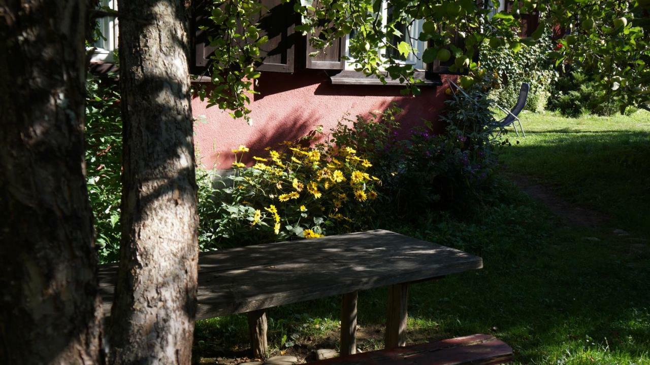 Woodenhouse Maramures Vişeu de Sus Exteriér fotografie